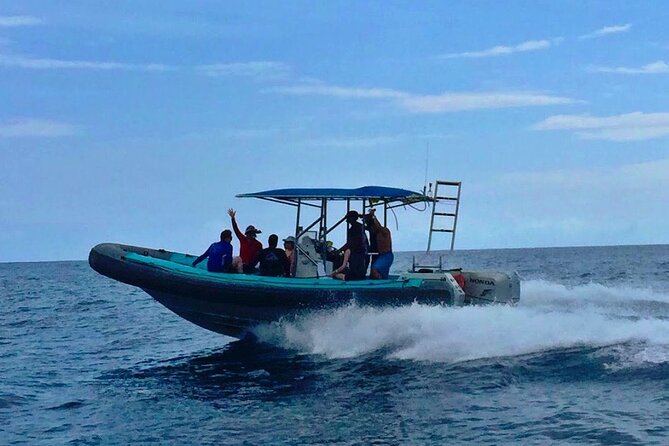 Manta Ray Night Snorkel at Kona, Big Island - Ride Along vs. Snorkel: Choose Based on Your Comfort Level