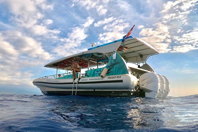 Manta Ray Night Snorkel from Kona — Small Group - Price and value: is $123 fair for a Kona manta night?