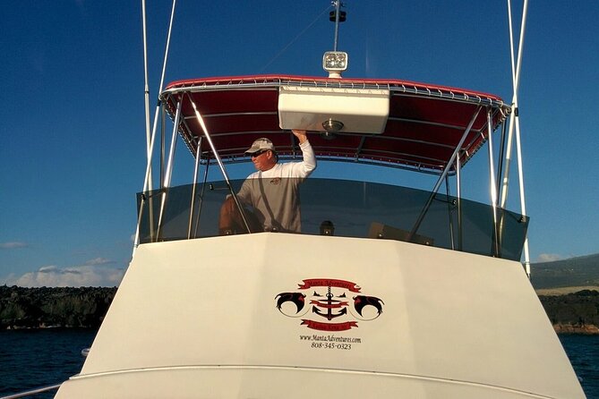 Manta Ray Night Snorkel in Kona - Should you book the Manta Ray Night Snorkel in Kona?