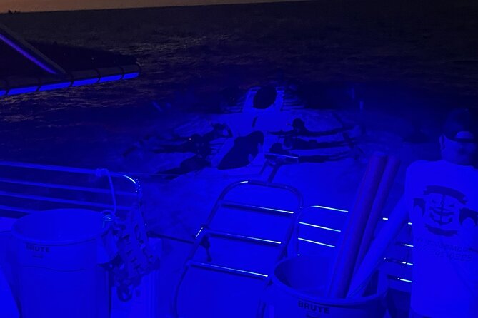 Manta Ray Night Snorkel in Kona - Snorkeling plan: gear, wetsuits, and what the lights do
