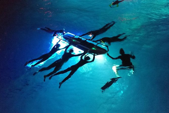 Manta Ray Night Snorkel Kona - Coral Reef Snorkel Adventures - Crew, Captain, and Safety: How the Night Stays Respectful