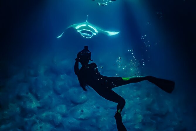 Manta Ray Night Snorkel Tour in Kailua-Kona, Big Island - Garden Eel Cove to Manta Heaven: How the Spot Works