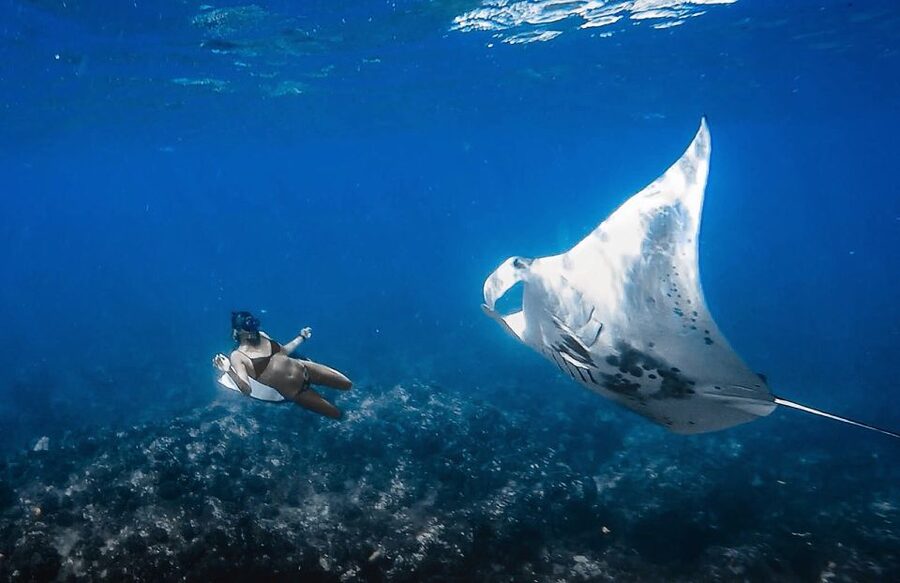 Manta Ray Snorkel in Kailua-Kona with Hot Cocoa - Key things to know before you go