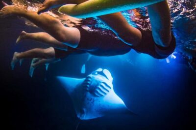 Manta Ray Snorkel in Kailua-Kona with Hot Cocoa - Snorkel setup for beginners: easy water time, clear coaching