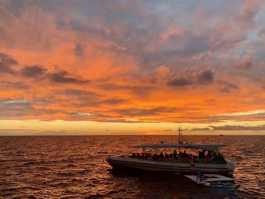 Manta Ray Snorkel in Kailua-Kona with Hot Cocoa - Should you book this Kailua-Kona manta ray night snorkel?