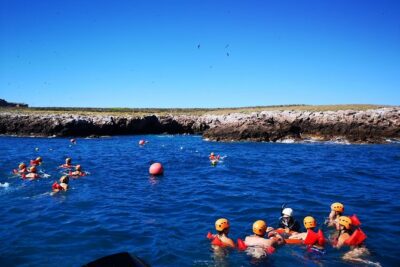 Marietas Islands Snorkel Tour & Hidden Beach - Snorkeling stop: gear, guidance, and what you’ll actually see