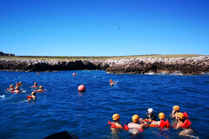 Marietas Islands Snorkel Tour & Hidden Beach - Snorkeling stop: gear, guidance, and what you’ll actually see