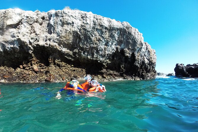 Marietas Islands snorkeling & Hidden beach (w/ restrictions) - Meeting at Marina Vallarta and the practical “start line” feel