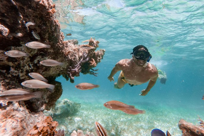 Marinarium Snorkeling Cruise from Punta Cana - Snorkeling stop in the lagoon: gear is included, time may be tight