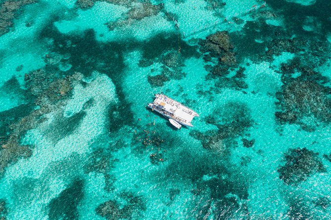 Marinarium Snorkeling Cruise from Punta Cana - Swim-up bar and unlimited open-bar drinks: fun, with one safety brain check
