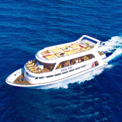 Marsa Alam: Elite vip Turtle bay snorkeling with BBQ Lunch - Guided snorkeling at Marsa Mubarak and Small Shenwa