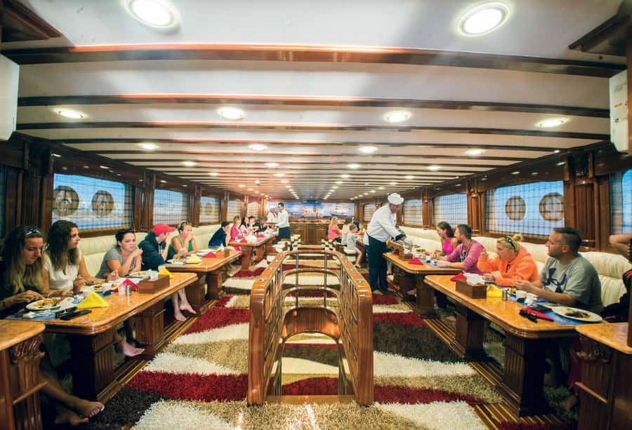 Marsa Alam: Elite vip Turtle bay snorkeling with BBQ Lunch - Timing and logistics: what the day feels like from pickup to marina stroll