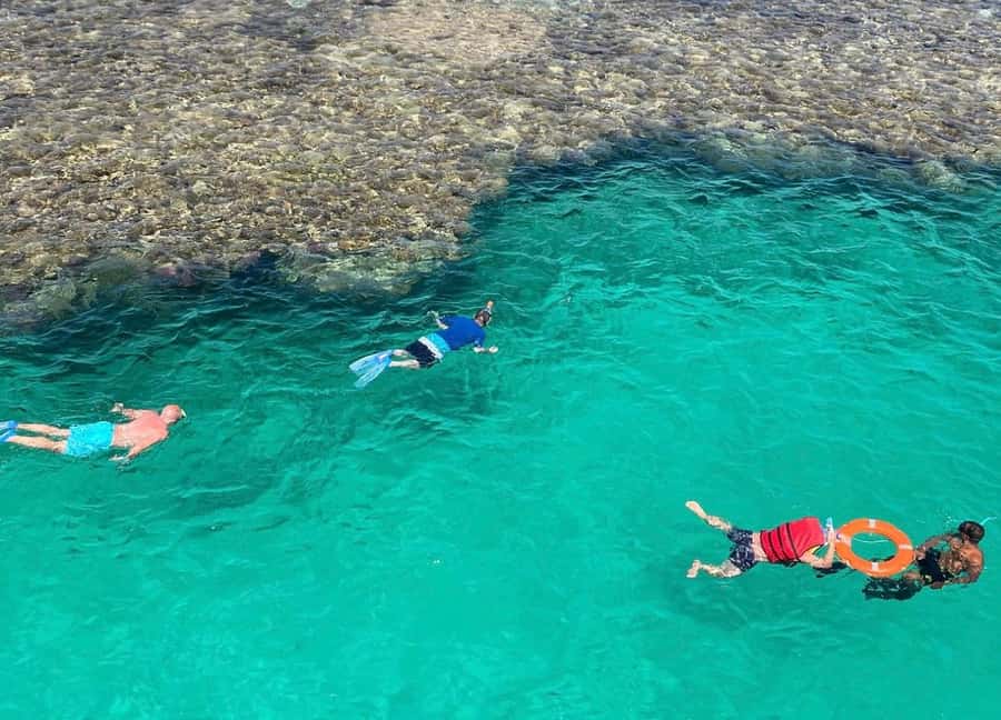 Marsa Alam: Elite vip Turtle bay snorkeling with BBQ Lunch - Price and value: why $100 can make sense here