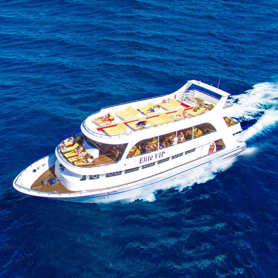Marsa Alam: Elite vip Turtle bay snorkeling with BBQ Lunch - Guided snorkeling at Marsa Mubarak and Small Shenwa