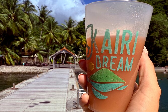 Martinique : Observation des dauphins et snorkeling - Morning Logistics: The Easy 8:00 Start and What You’ll Actually Do