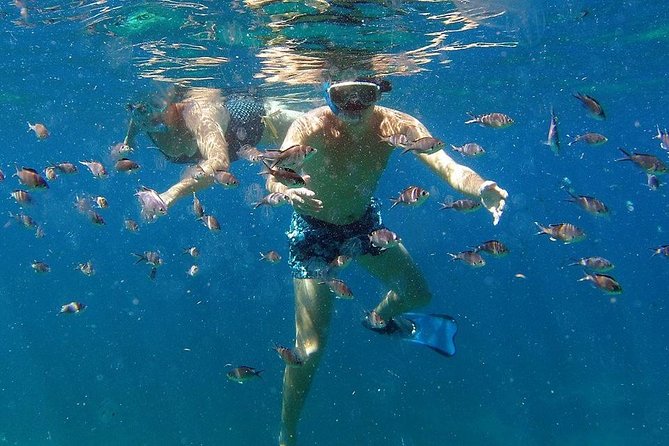 Martinique : Observation des dauphins et snorkeling - Snacks, Rum, Planteur, and Local Juice Onboard