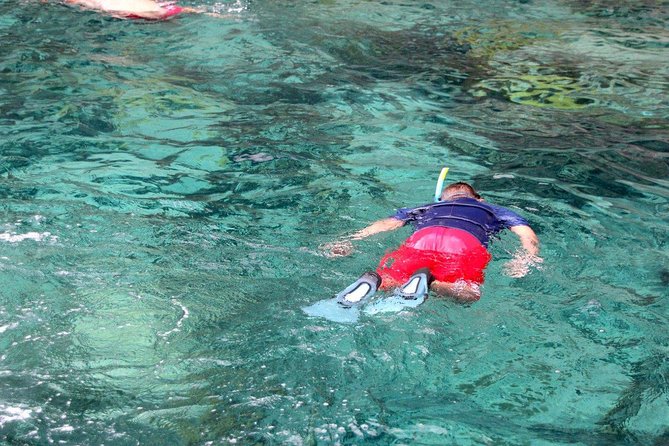 Martinique : Observation des dauphins et snorkeling - What You Get, What You Might Need: Gear and Comfort