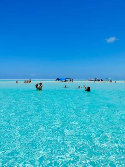 Matemwe: Mnemba Island Dolphin & Snorkeling Boat Trip - Meeting point and timing: The Mora beach start (8:30am to 9:00am)