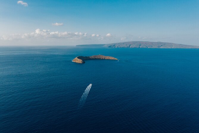 Maui: 2-Hour Molokini Snorkel Trip - Why Molokini feels like a snorkeling world made on purpose