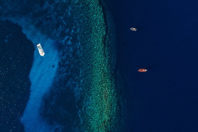 Maui: 2-Hour Molokini Snorkel Trip - 7:00AM vs 9:30AM: picking the right morning for your body