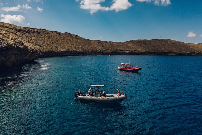 Maui: 2-Hour Molokini Snorkel Trip - Who should book this Molokini 2-hour trip