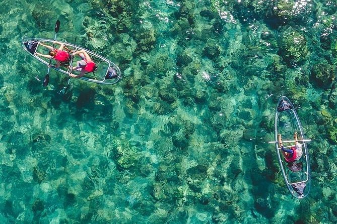 Maui Clear Kayak and Snorkel Tour: Swim with turtles (Makena) - Key Things You’ll Notice Right Away