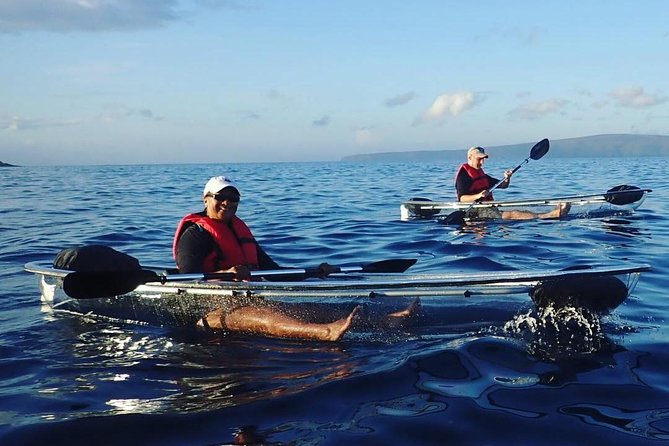 Maui Clear Kayak and Snorkel Tour: Swim with turtles (Makena) - Wildlife Chances: Turtles, Manta Rays, and Reef Fish