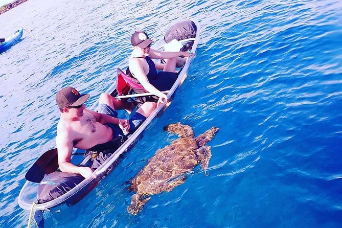 Maui Clear Kayak and Snorkel Tour: Swim with turtles (Makena) - Timing and Logistics: Why 7–10am Works