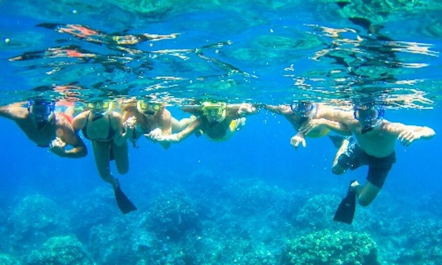 Maui: Kaanapali Beach 5-hr Snorkel w/ BBQ Lunch & Open Bar - Key things I’d circle before you book
