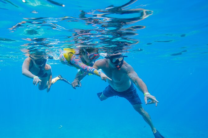 Maui: Molokini Crater and Turtle Town Snorkeling From Kihei - Price and Value: When This Is a Smart Use of Time