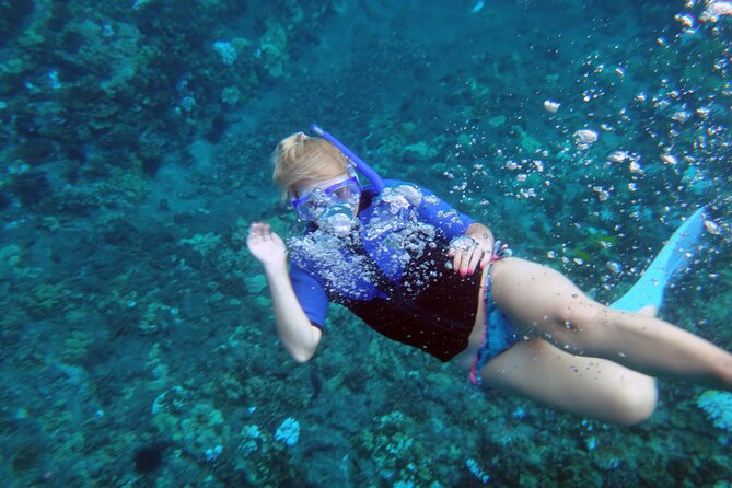 Maui: Molokini & Turtle Town Snorkel & Waterslide Adventure - Stop 1: Molokini Crater snorkel and why it usually looks cleaner