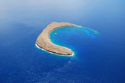 Maui: Molokini & Turtle Town Snorkel & Waterslide Adventure - Before you board: check-in, gear rules, and what to bring