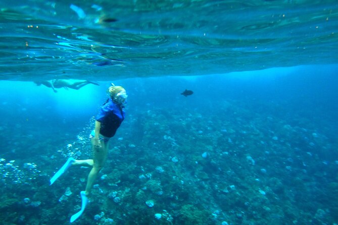 Maui: Molokini & Turtle Town Snorkel & Waterslide Adventure - Stop 2: Turtle Town, honu spotting, and the “wait, there it is” moments