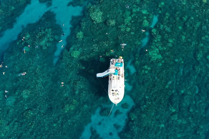 Maui: Molokini & Turtle Town Snorkel & Waterslide Adventure - Whale watching chances during Nov–Apr
