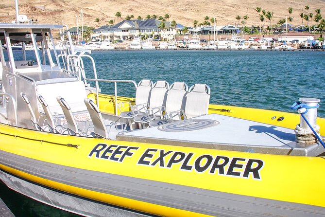 Maui Snorkel Adventure: Molokini Crater and Turtle Cove - Lunch and Snacks: Included Fuel for a Half-Day on the Water