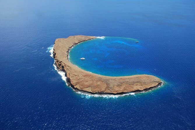 Maui Snorkeling Adventure From Ma'alaea Harbor to Molokini - Key Things You’ll Notice on Calypso