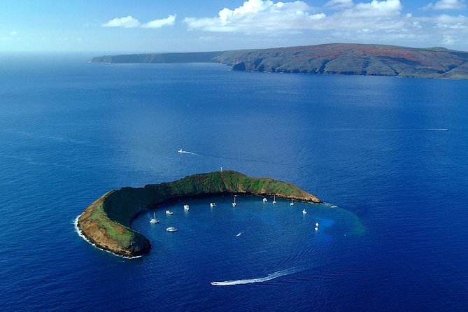 Maui Snorkeling Adventure From Ma'alaea Harbor to Molokini - Leaving Ma’alaea on Time: Your 7:30am Advantage