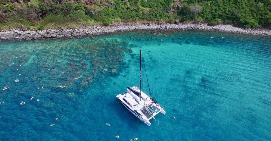 Maui: Snorkeling and Sailing Adventure with Buffet Lunch - Quick hits from this Maui snorkeling sailing trip