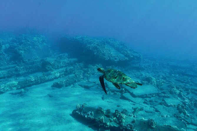 Maui Snorkeling Boat Tour to Turtle Town Aboard Quicksilver - Entering The Catamaran Zone: Why Quicksilver feels like a family win