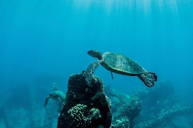 Maui Snorkeling Boat Tour to Turtle Town Aboard Quicksilver - Stop 1: Makena Landing Park—scenery time that resets your brain