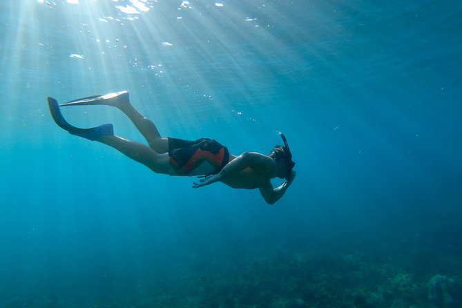 Maui Snorkeling Boat Tour to Turtle Town Aboard Quicksilver - Getting your gear right: flotation devices matter more than you think