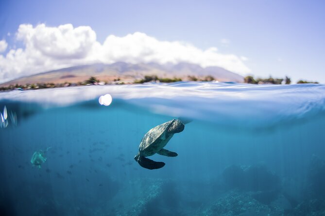 Maui Snorkeling Boat Tour to Turtle Town Aboard Quicksilver - South Maui’s route: from Maalaea to Makena and beyond