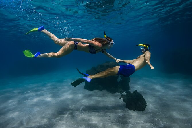 Maui: Turtle Town Snorkel with Photo and Video - Key Highlights at a Glance