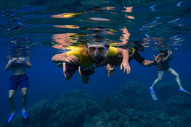Maui: Turtle Town Snorkel with Photo and Video - The 2-Hour Experience Breakdown (and Why Timing Matters)