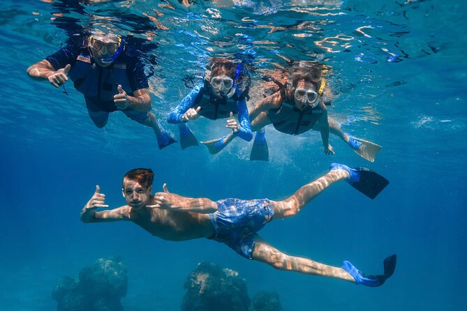 Maui: Turtle Town Snorkel with Photo and Video - Turtle Town Off Maluaka Beach: What You’ll See