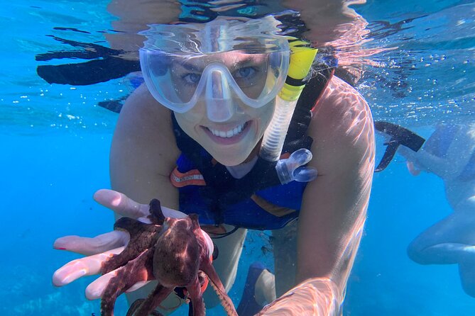 Maui: Turtle Town Snorkel with Photo and Video - Photos and Raw Video: A Tangible Memory, Not Just Promises