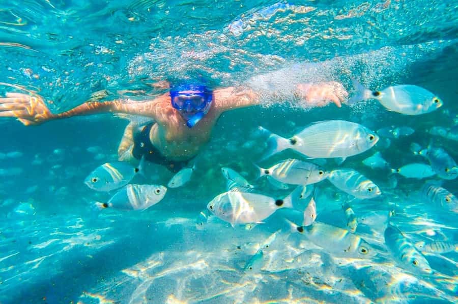 Mauritius: 5 East Coast Islands Tour with Snorkeling & Lunch - Eau Bleu Snorkeling: The Moment You’ll Remember
