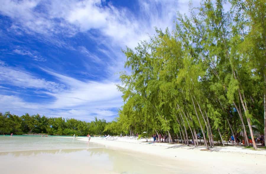 Mauritius: 5 East Coast Islands Tour with Snorkeling & Lunch - Ile aux Margenie BBQ Lunch: Food, Drinks, and Beach Time