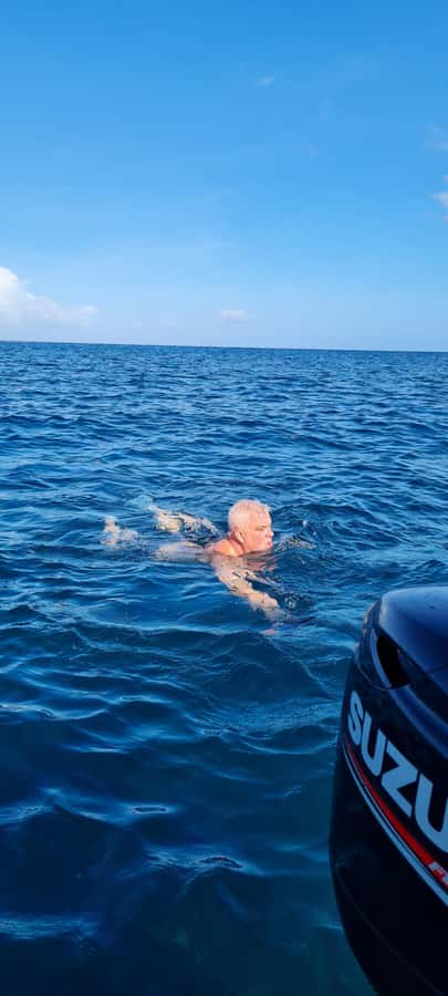 Mauritius: Snorkel and Swim with Dolphins on Speedboat Tour - Swimming with Dolphins in the Open Sea: how it really works
