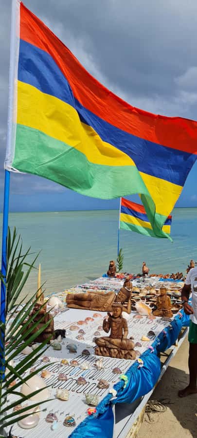 Mauritius: Snorkel and Swim with Dolphins on Speedboat Tour - Reviews Snapshot: what the best moments have in common